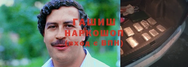 индика Баксан