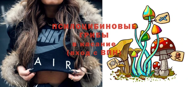 тгк Аркадак