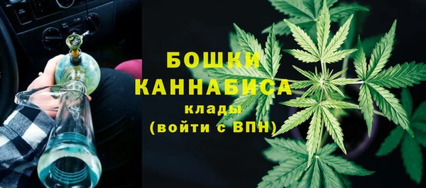 PSILOCYBIN Армянск