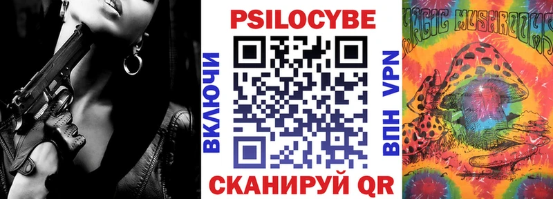 Купить  Тулун  Галлюциногенные грибы прущие грибы 